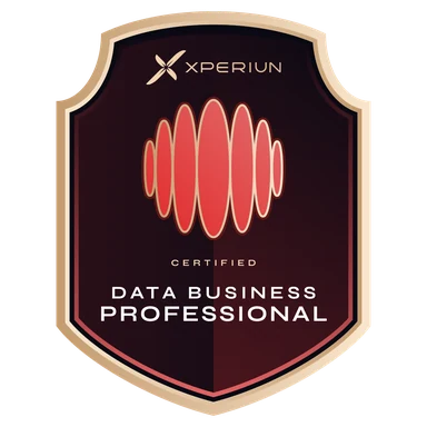 Data Business Professional